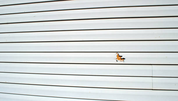 Best Fiber Cement Siding Installation  in Pell City, AL